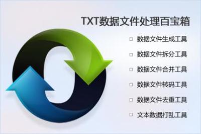TXT文本数据处理百宝箱 高效工具助力数据管理